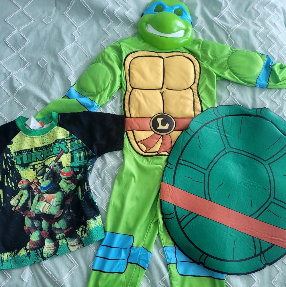 Nickelodeon Teenage Mutant Ninja Turtles Costume Set - Green and Blue